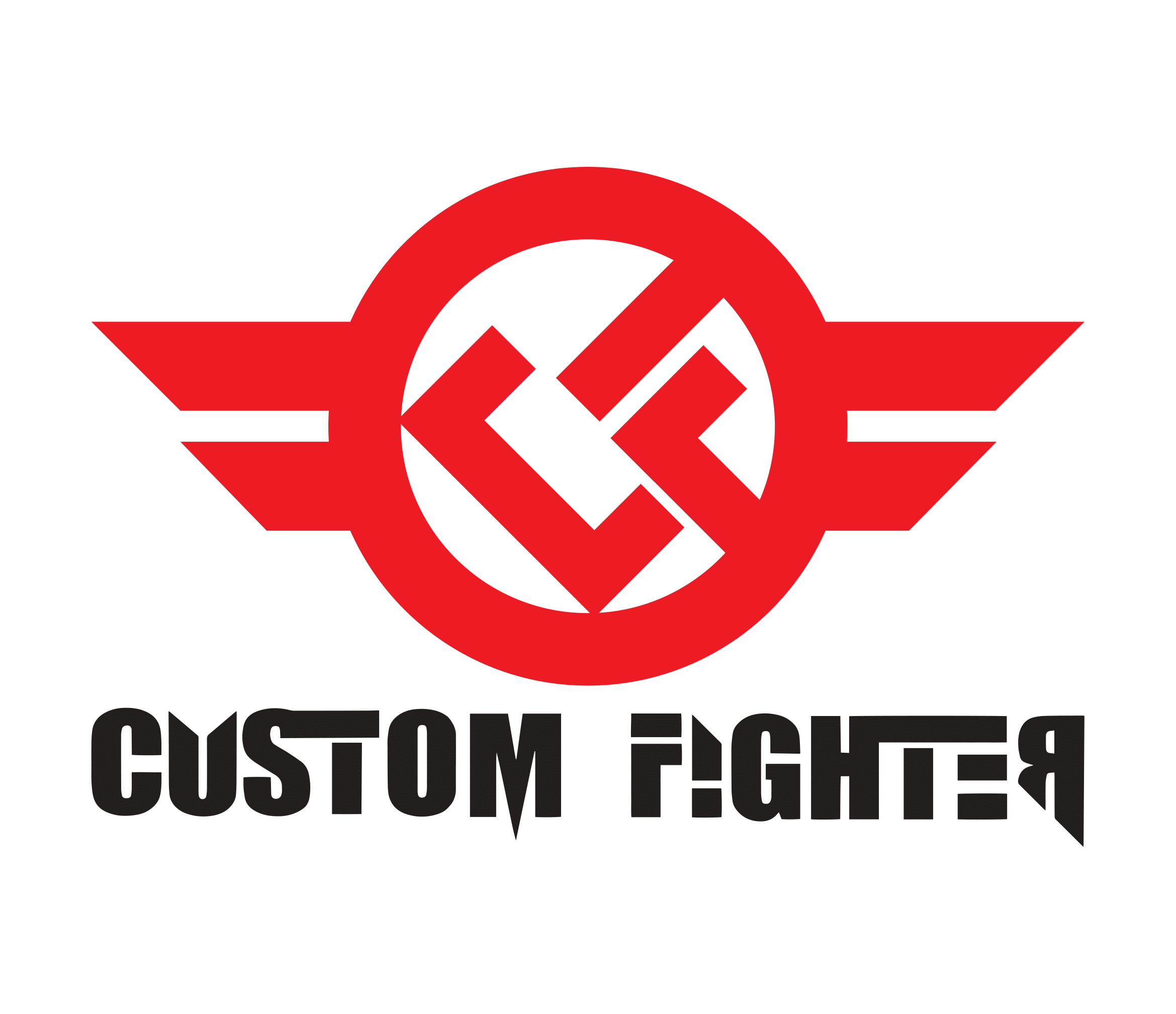 Custom Fighters